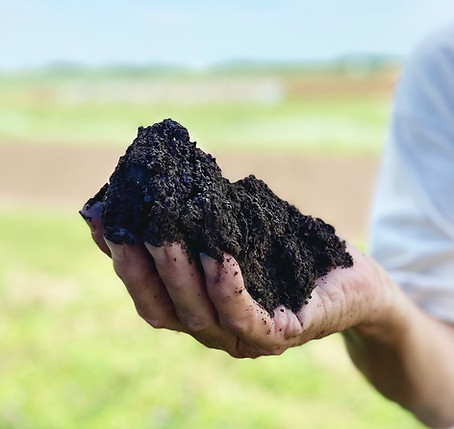 handful of soil