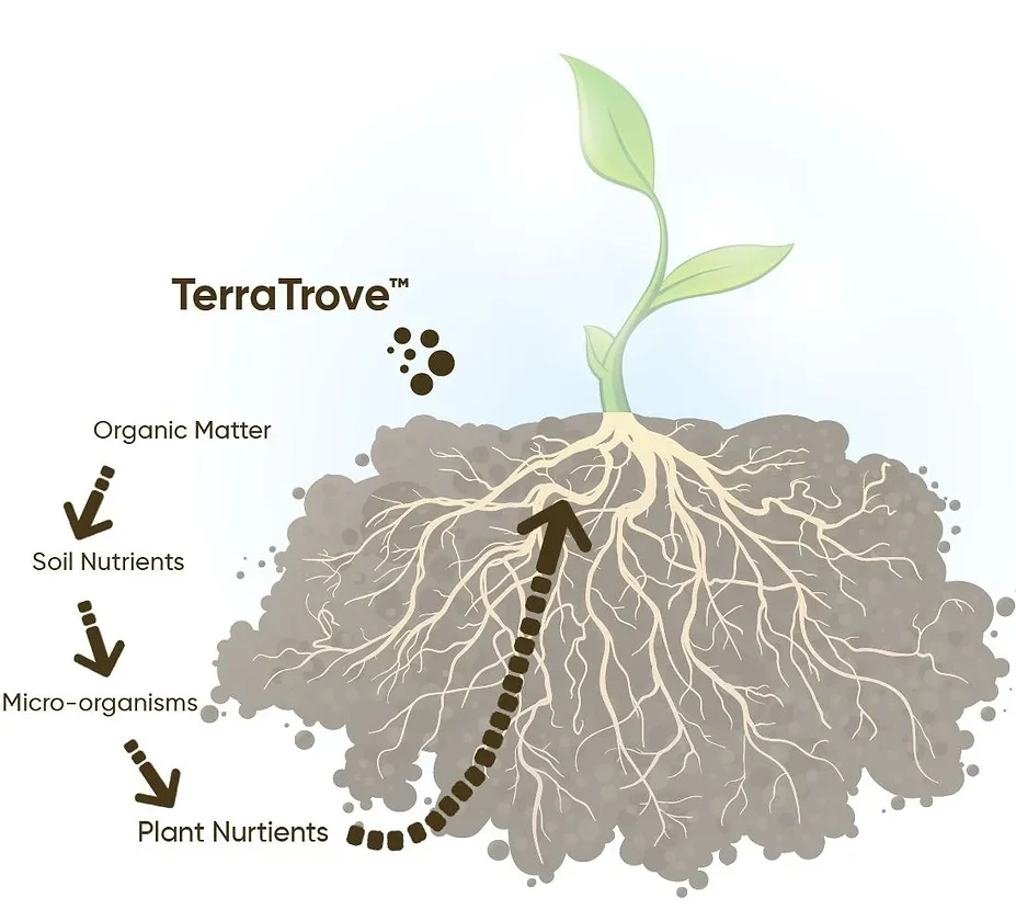 terratrove process