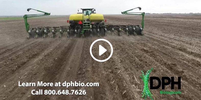 DHP video cover