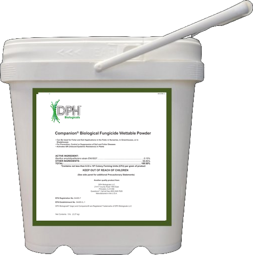 Companion Biological Fungicide WP container