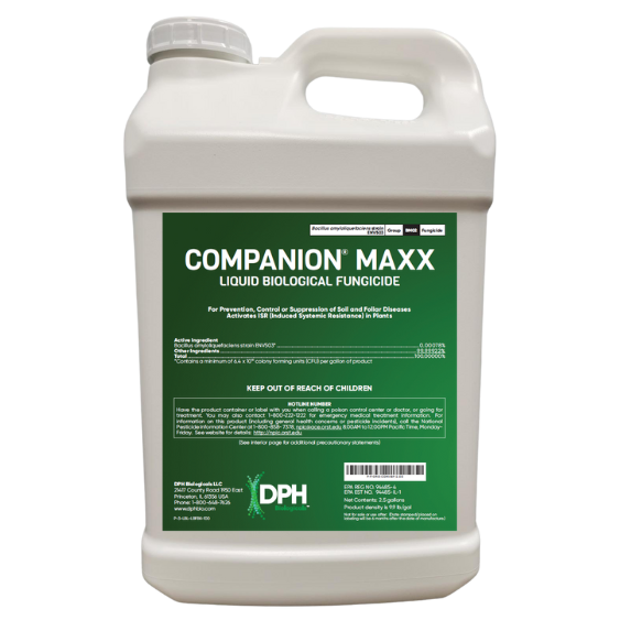 Companion Maxx Liquid Biological Fungicide bottle