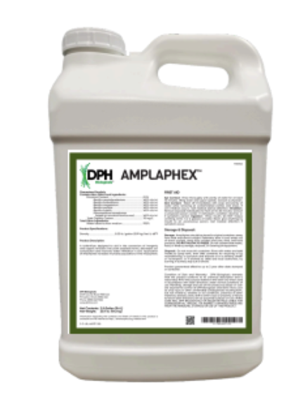 AmplAphex bottle