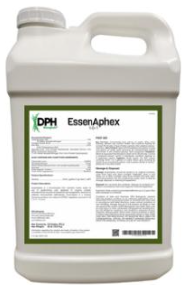 EssenAphex bottle
