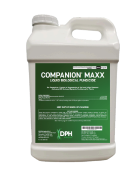 Companion Maxx Liquid Biological Fungicide bottle