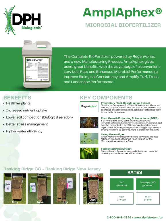 AmplAphex flyer