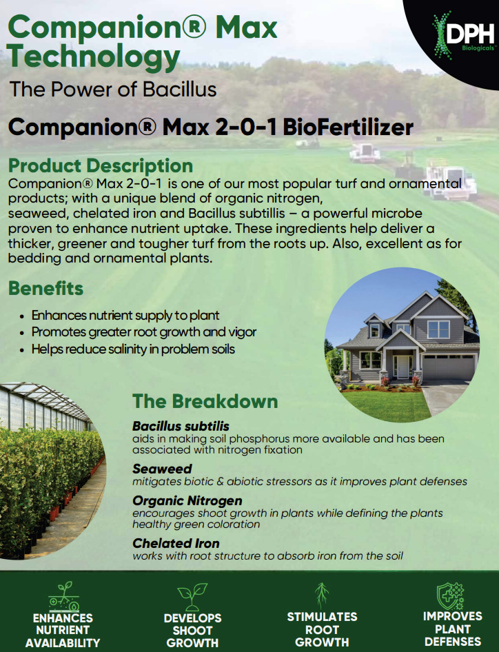 Companion Max 2-0-1 flyer