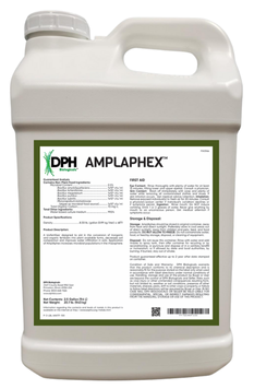 AmplAphex bottle